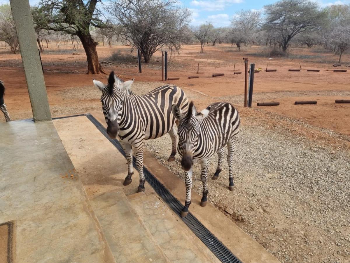 Doornkom Marloth Park Kültér fotó